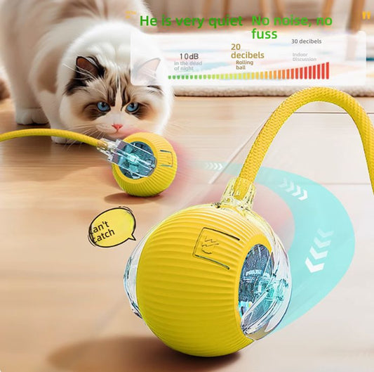 Smart Interactive Ball for Cats and Dogs