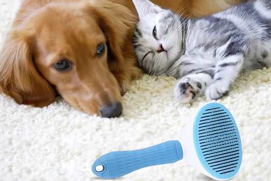 Self-Cleaning Pet Grooming Brush for Dogs & Cats